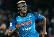 Ligue des Champions| Victor Oshimen, l’espoir du monde napolitain