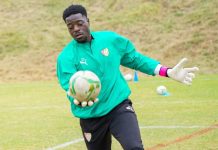 Prép CAN 2023 (J5)| Le Togo se désaltère contre le Lesotho en attendant dant l’Eswatini