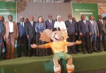 CAN 2023| “Akwaba”, la mascotte officielle dévoilée