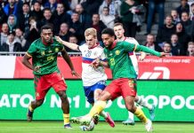 Matchs amicaux| L’Algérie bat le Cap Vert, le Cameroun s’incline, les résultats