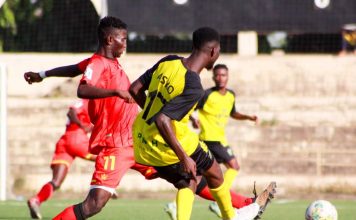 D1 Lonato (J8)| Duel au sommet entre Barracuda et ASKO, le programme complet