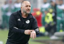 Algérie| Belmadi donne du fil à retordre à la fédération
