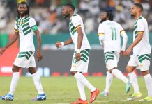 Journées FIFA (mars 2024)| Les Lions Indomptables privés de matchs amicaux