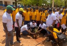 ANEEFOOT| Des plants mis en terre pour clôturer l’étape de formation des entraîneurs dans les Savanes